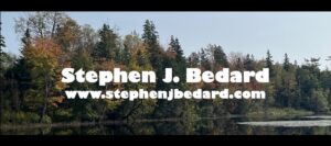 Stephen J Bedard