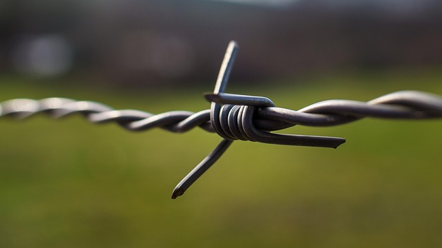 Barbed Wire